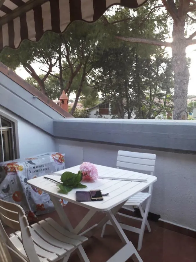 马里纳迪马萨Casa Caterina A Due Passi Dal Mare公寓 公寓 马里纳迪马萨